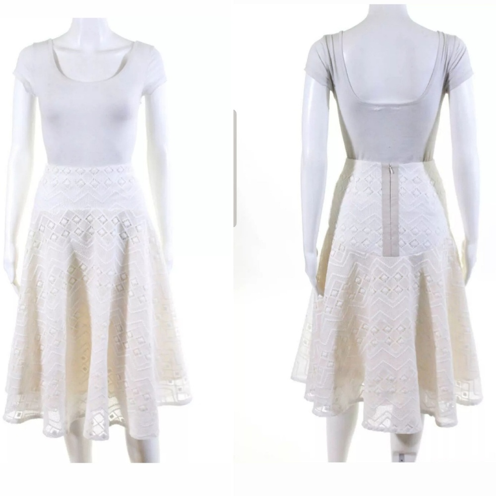 TY-LR Womens Embroidered A-LineSkirt White Size Sm
